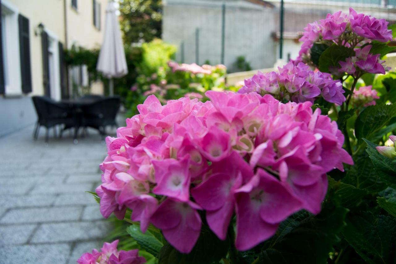 Giardino Delle Ortensie カンノビオ エクステリア 写真